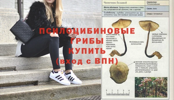 таблы Алексеевка