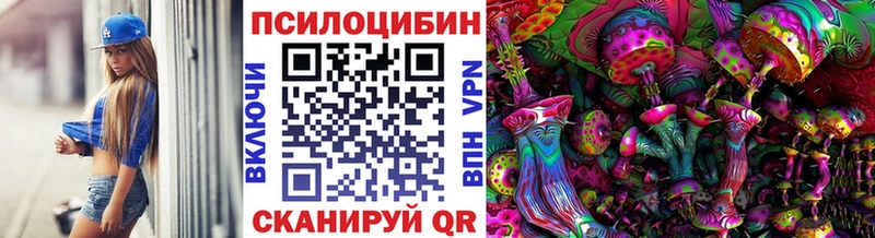 Купить закладки  Петрозаводск  Галлюциногенные грибы мицелий 